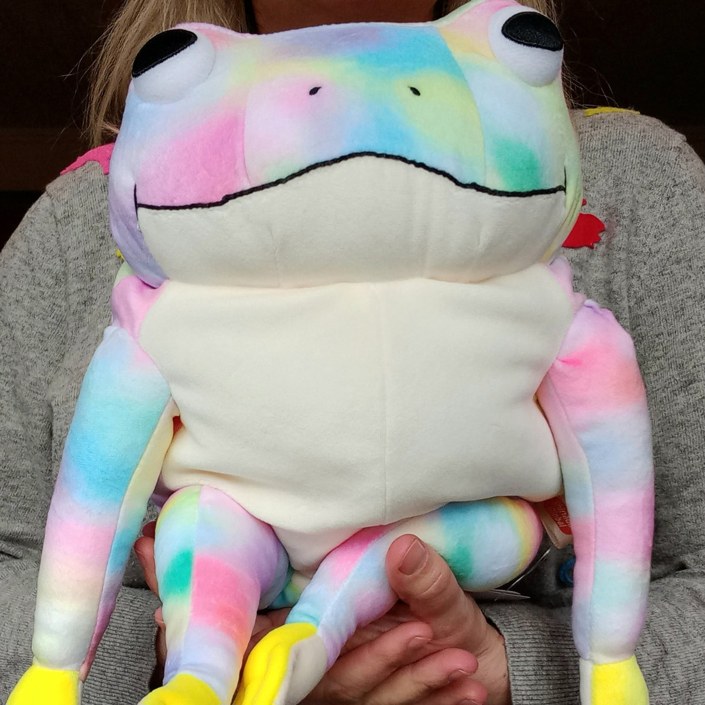 Large Rainbow Mochi Frog (41 cm)