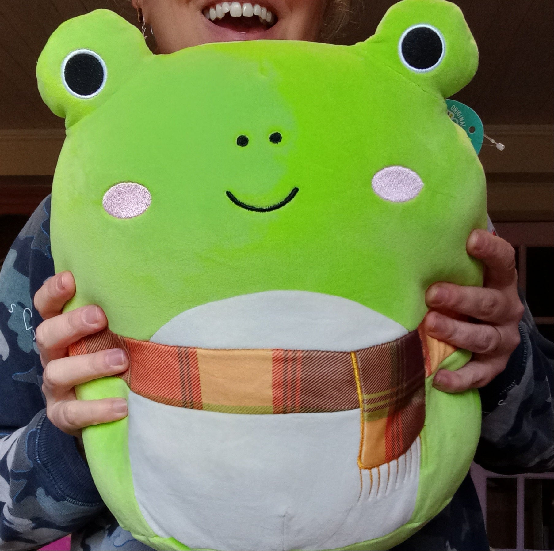 Squishmallows Wendy frog 16 2024