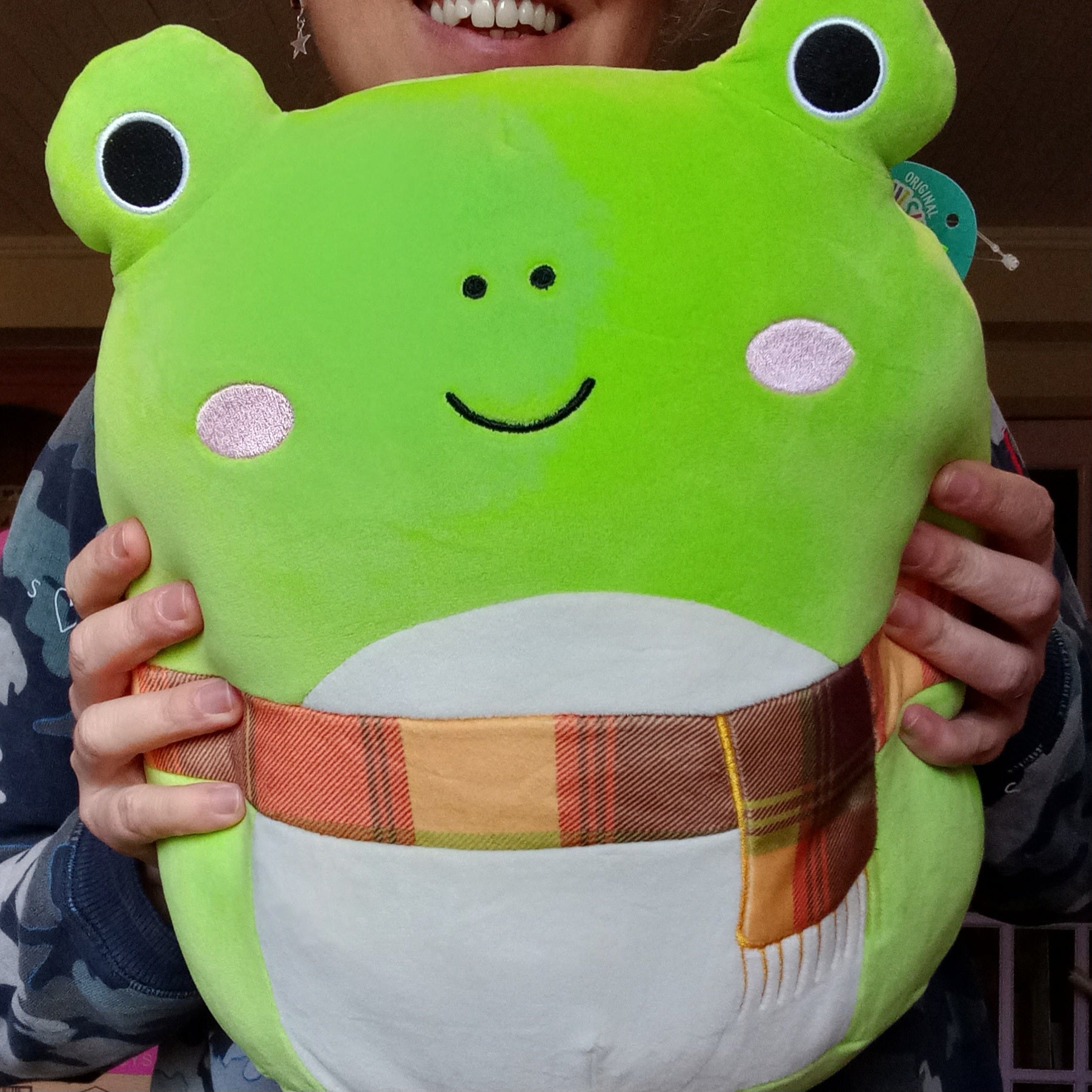 Wendy the Frog - 12 inch Squishmallow