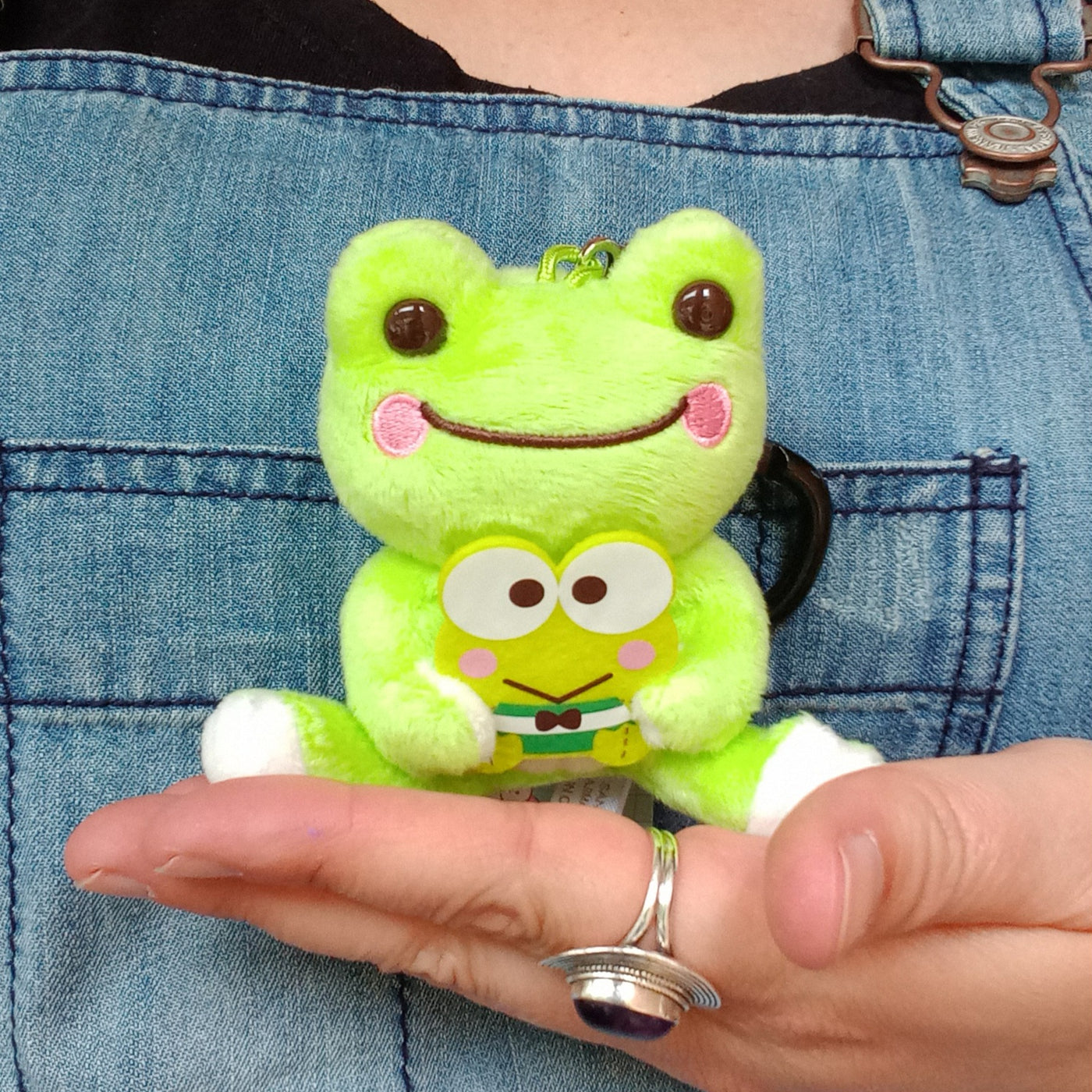 Pickles holding Keroppi Mini Plush (10cm)