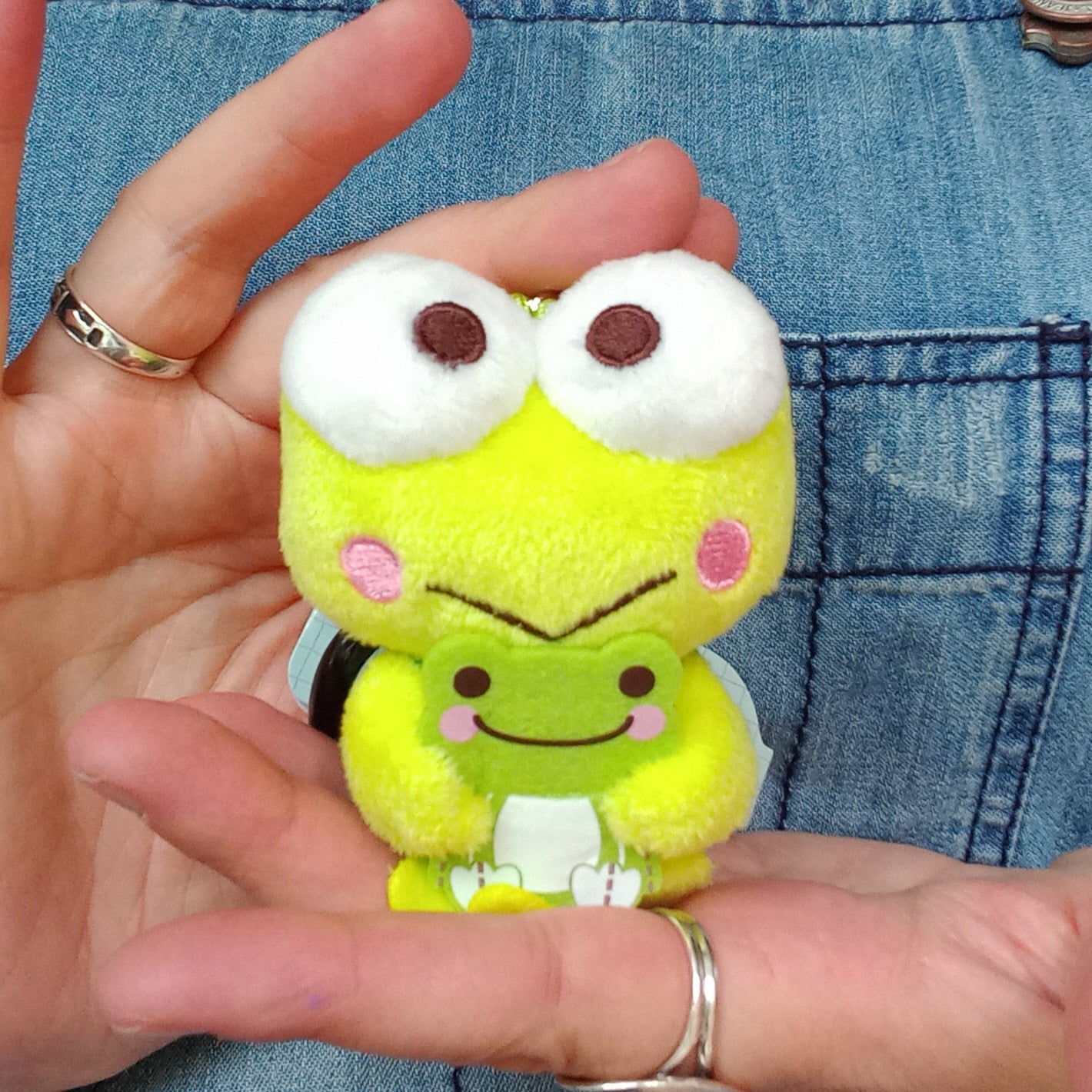 Keroppi holding Pickles Mini Plush (10cm)