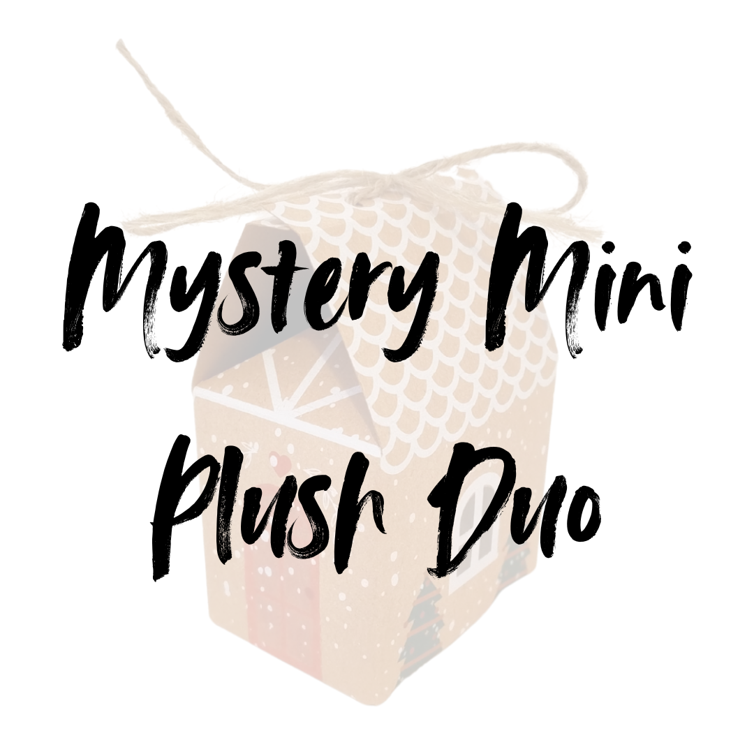 Mystery Box - Mini Plush Duo