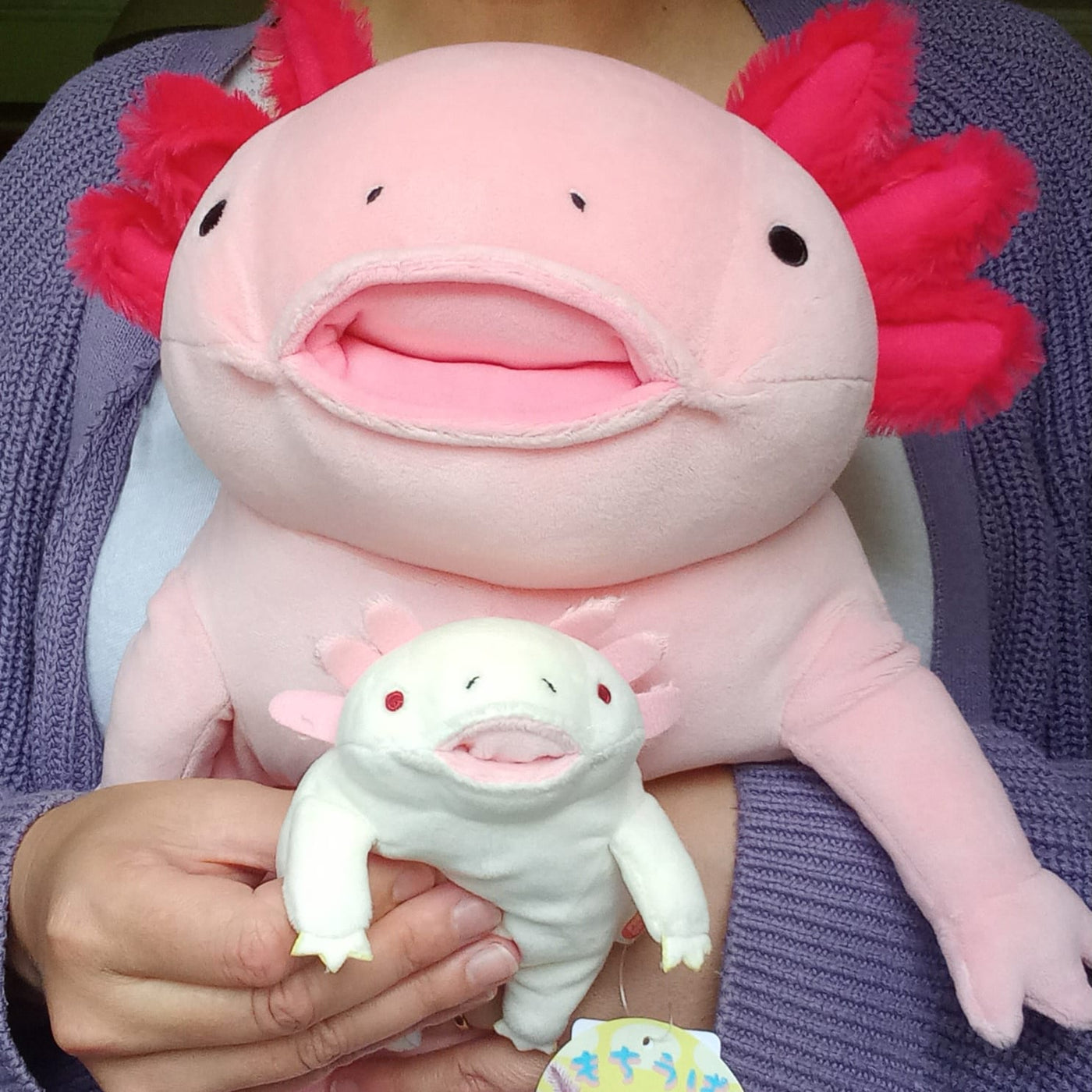 Mini White Mochi Axolotl (13 cm)