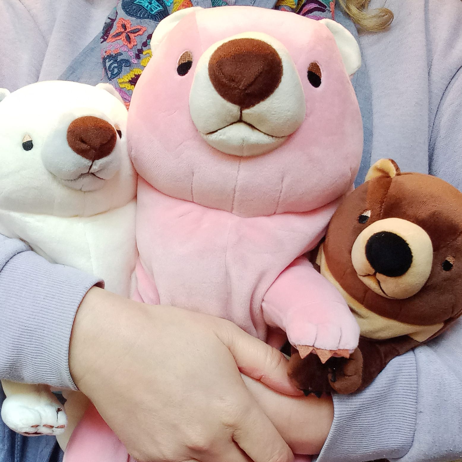 くま みんなで頑張るばい！くまモン号」特別塗装機 ソラシド エア (737-800