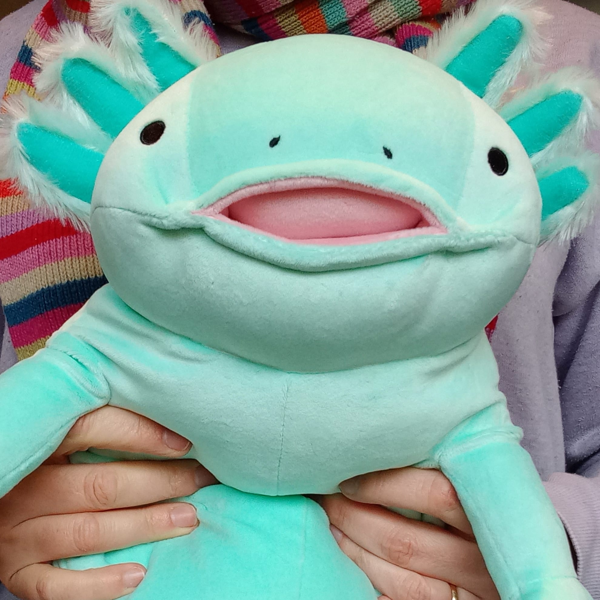 Large Mint Mochi Axolotl (38 cm)