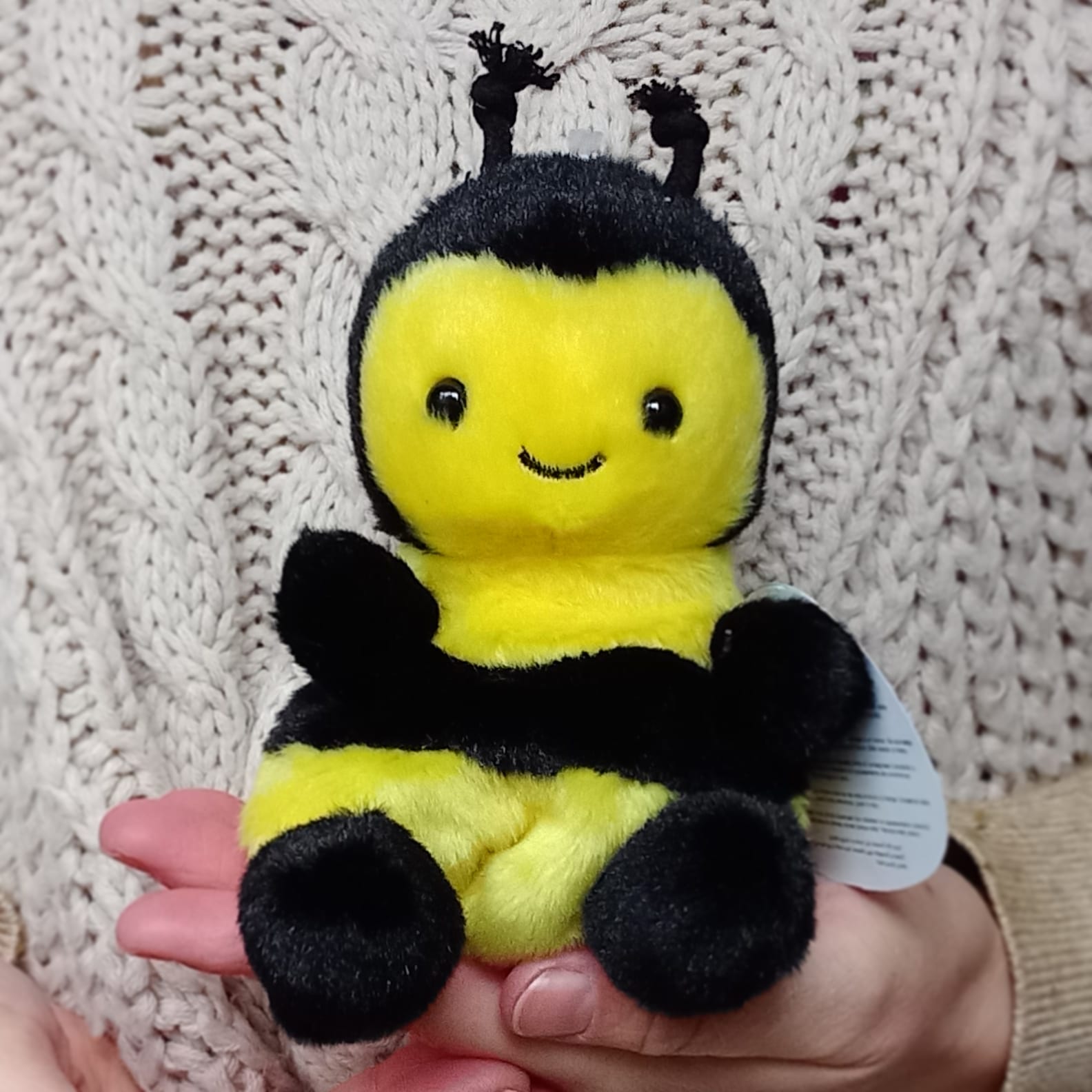 Queeny the Bee Palm Pal