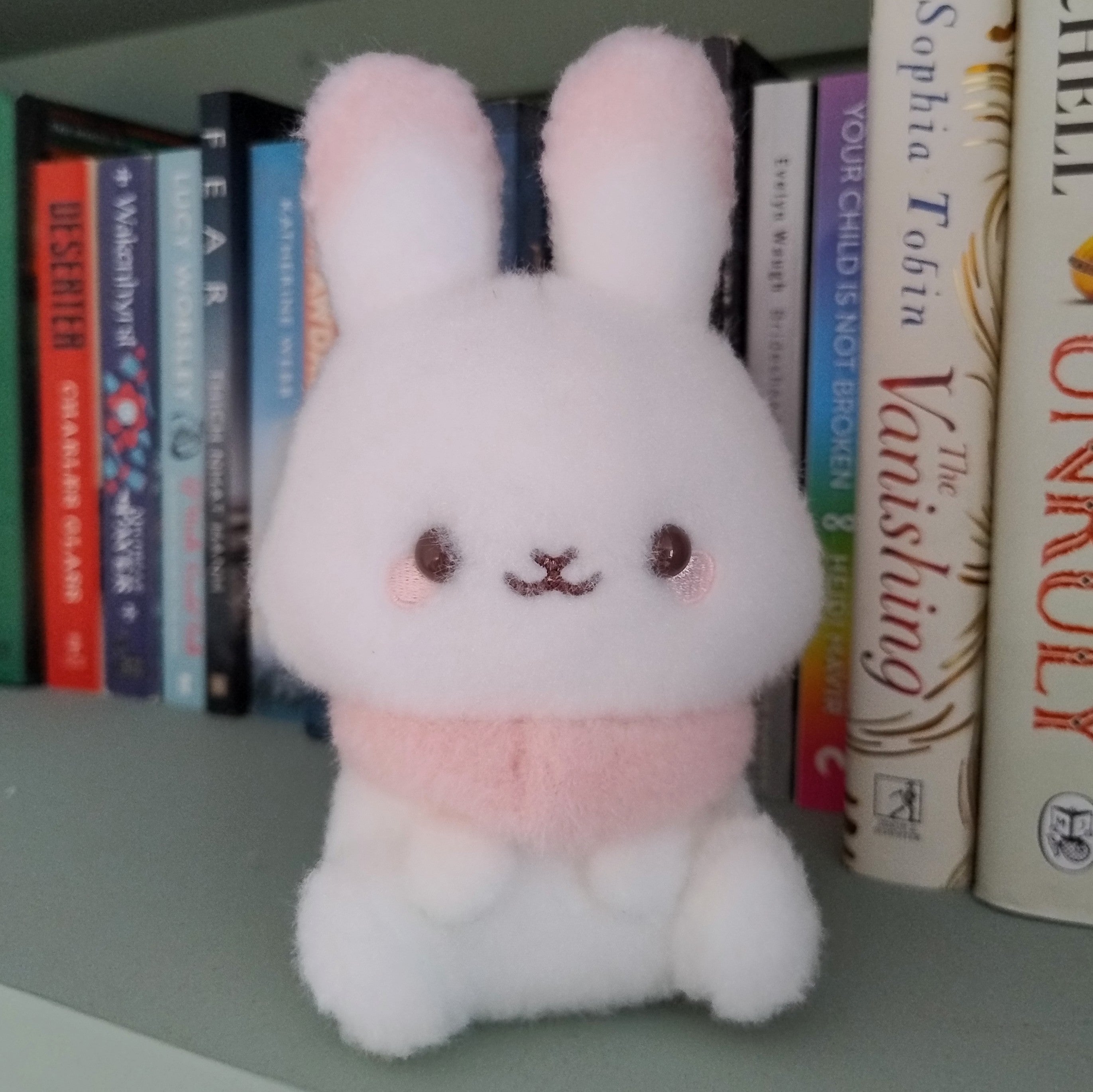 Sugarcocomuu Fluffy Bunny Plush (17.5cm)