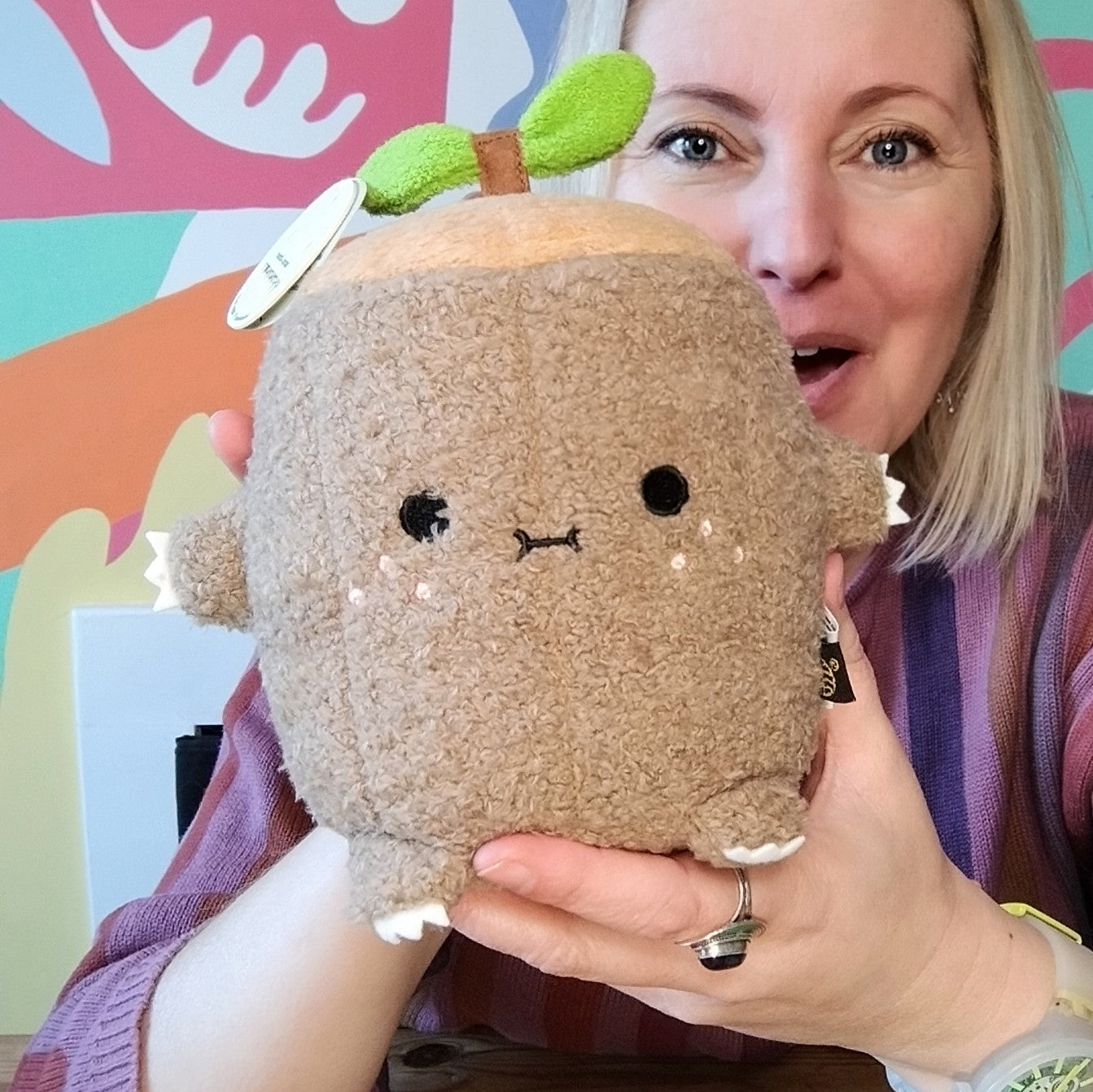 Ricelogi Log Plush (18cm)