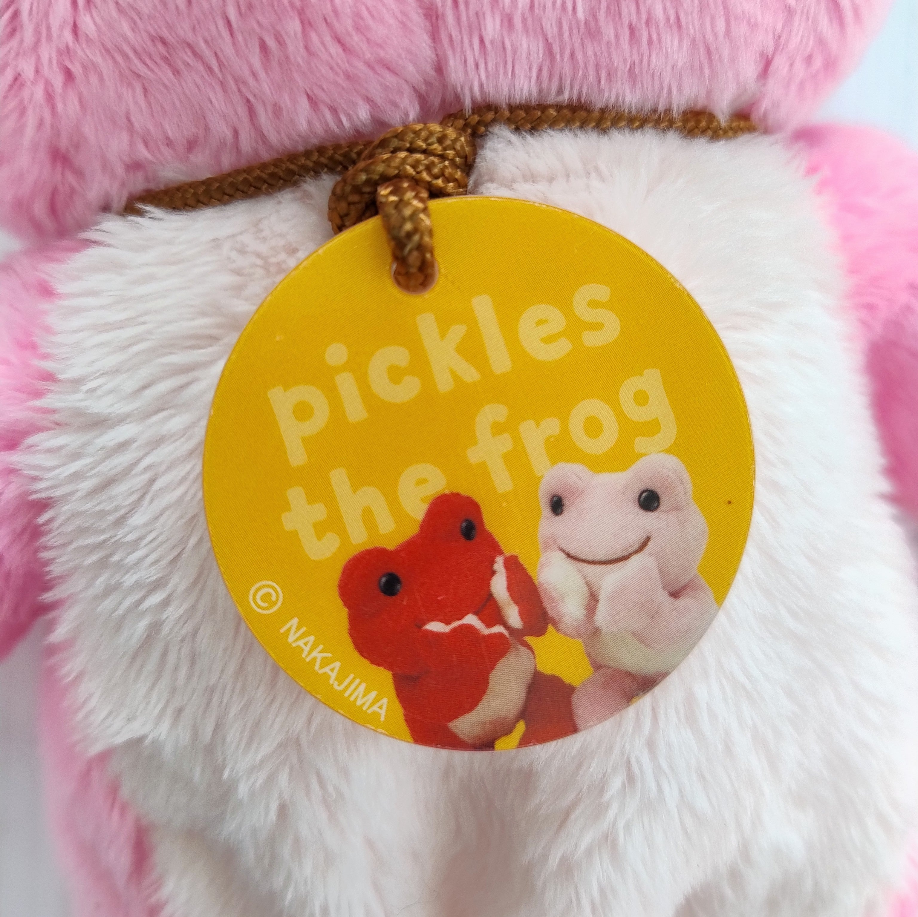 Pink/Multi Pickles the Frog Photo Plush (26cm)