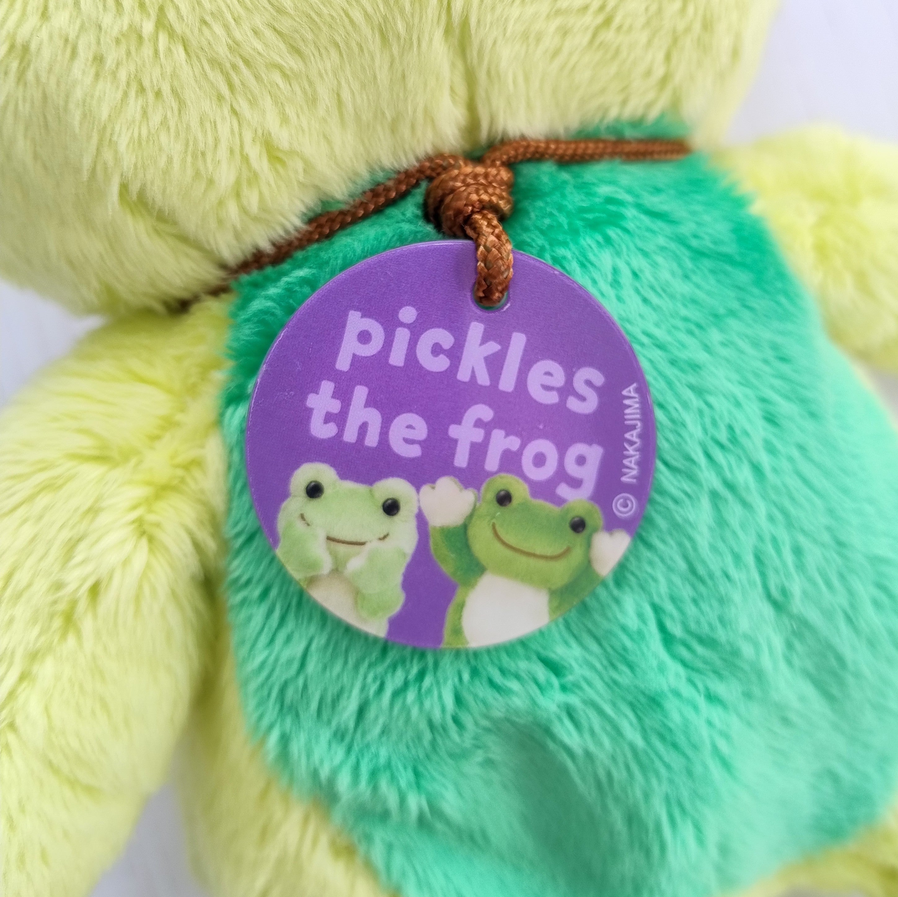 Green/Multi Pickles the Frog Photo Plush (26cm)