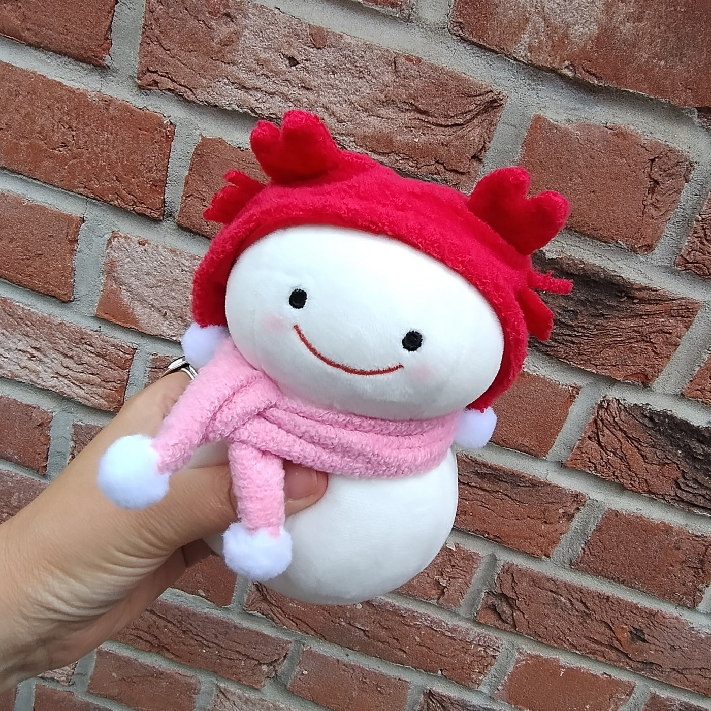 Snow Dharma-Chan Crab (15 cm)