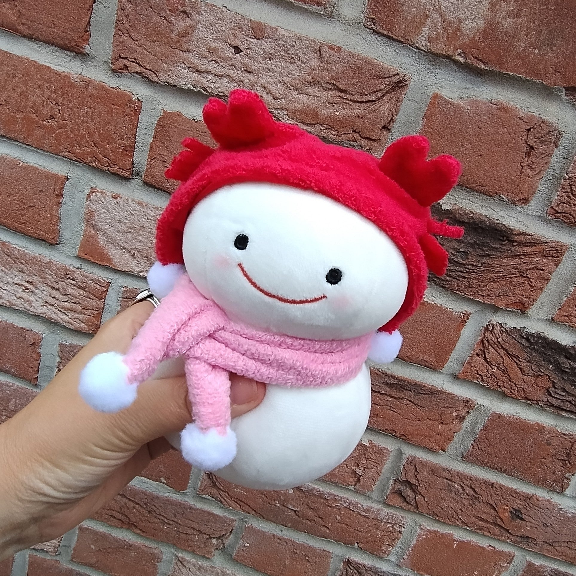 Snow Dharma-Chan Crab (15 cm)