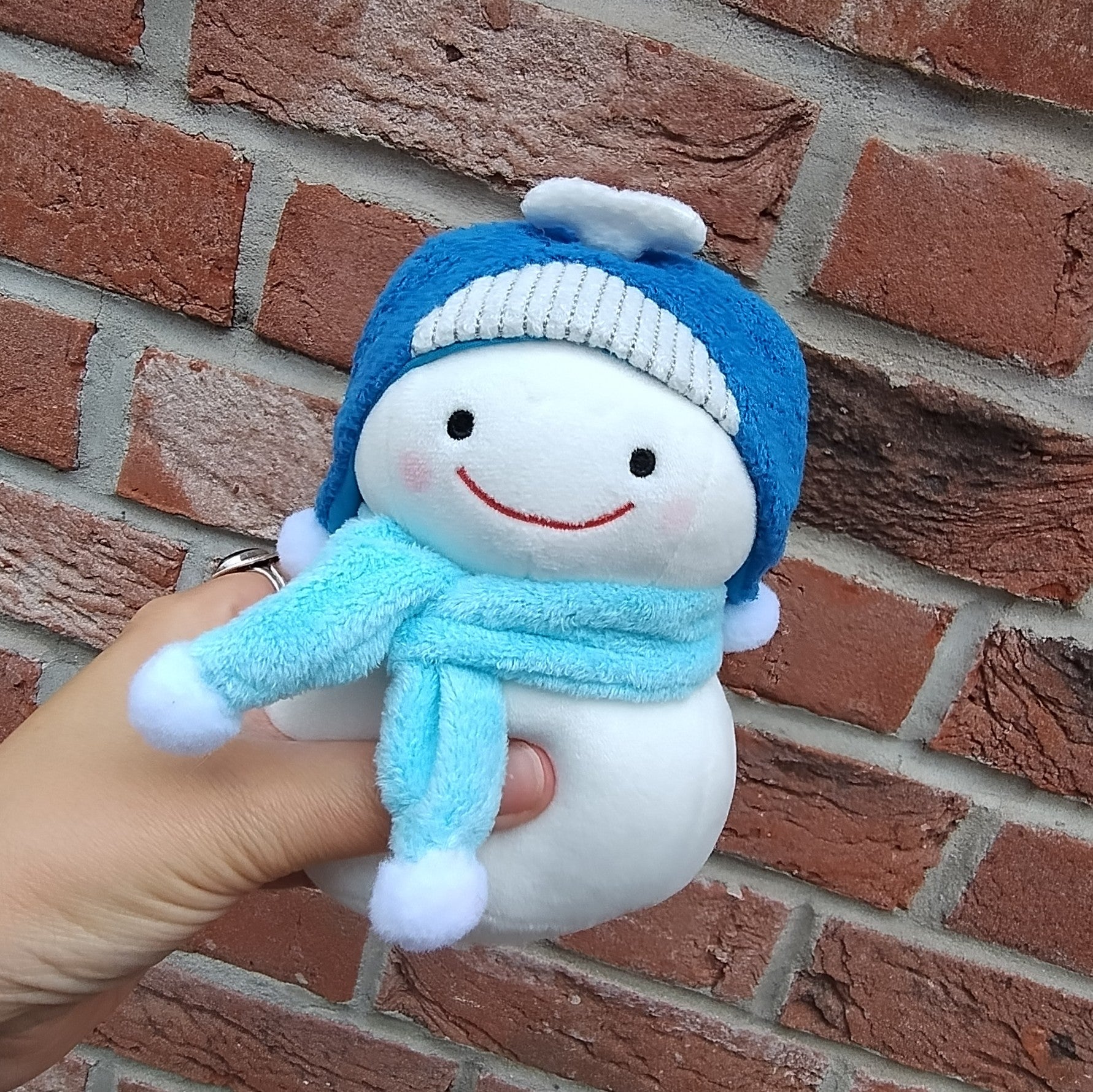 Snow Dharma-Chan Whale (15 cm)