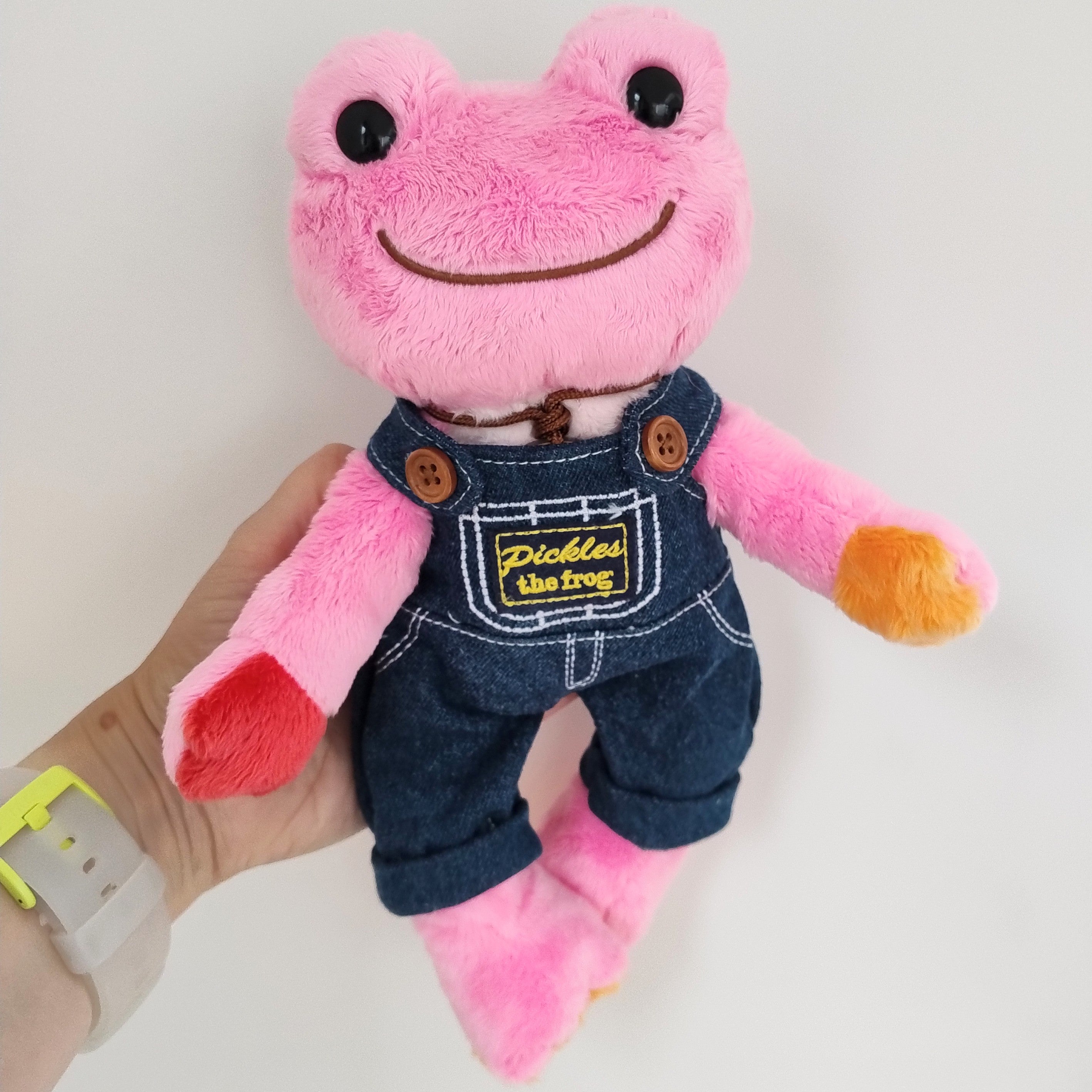 Pink/Multi Pickles the Frog Photo Plush (26cm)