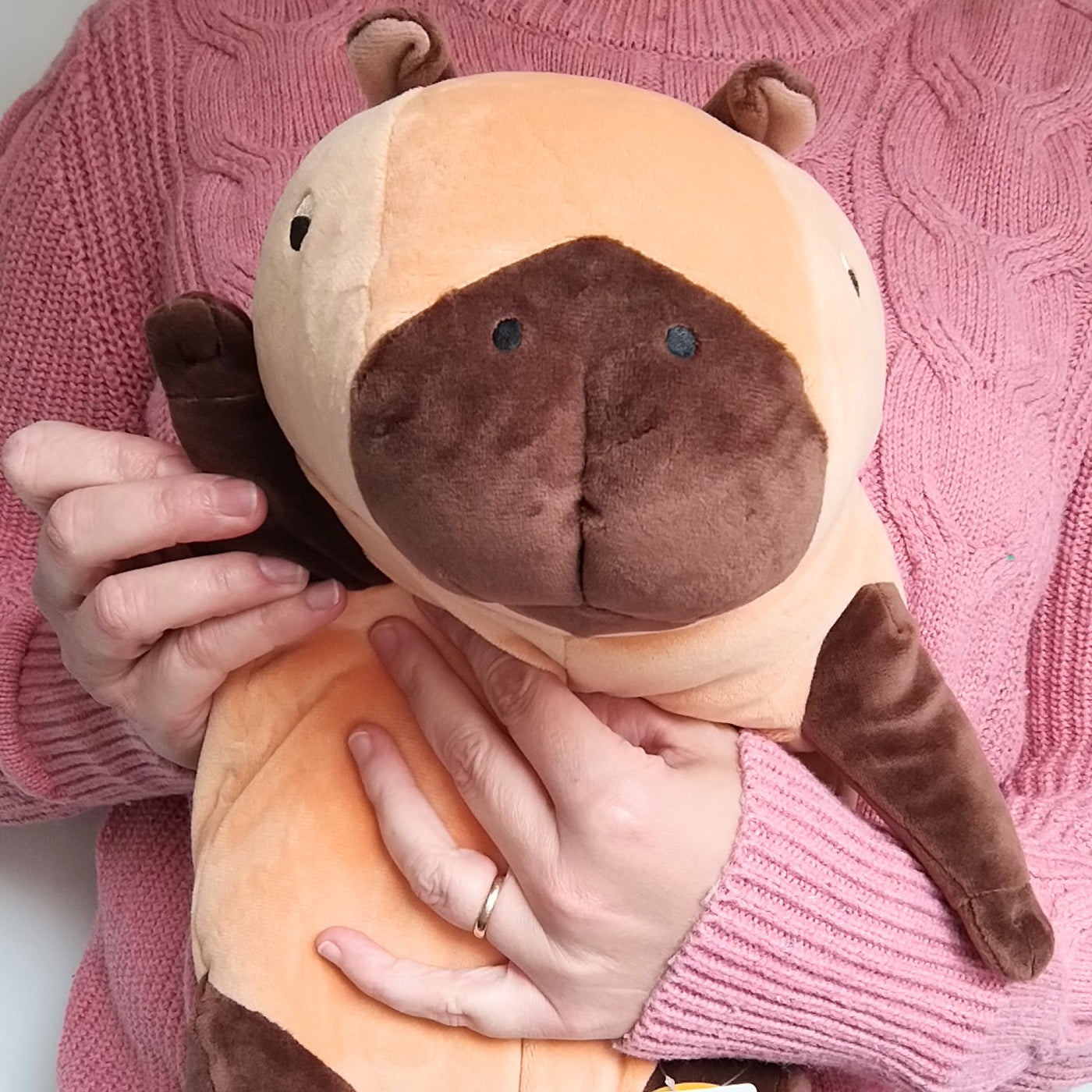 Large Mochi Capybara Plush (40 cm)