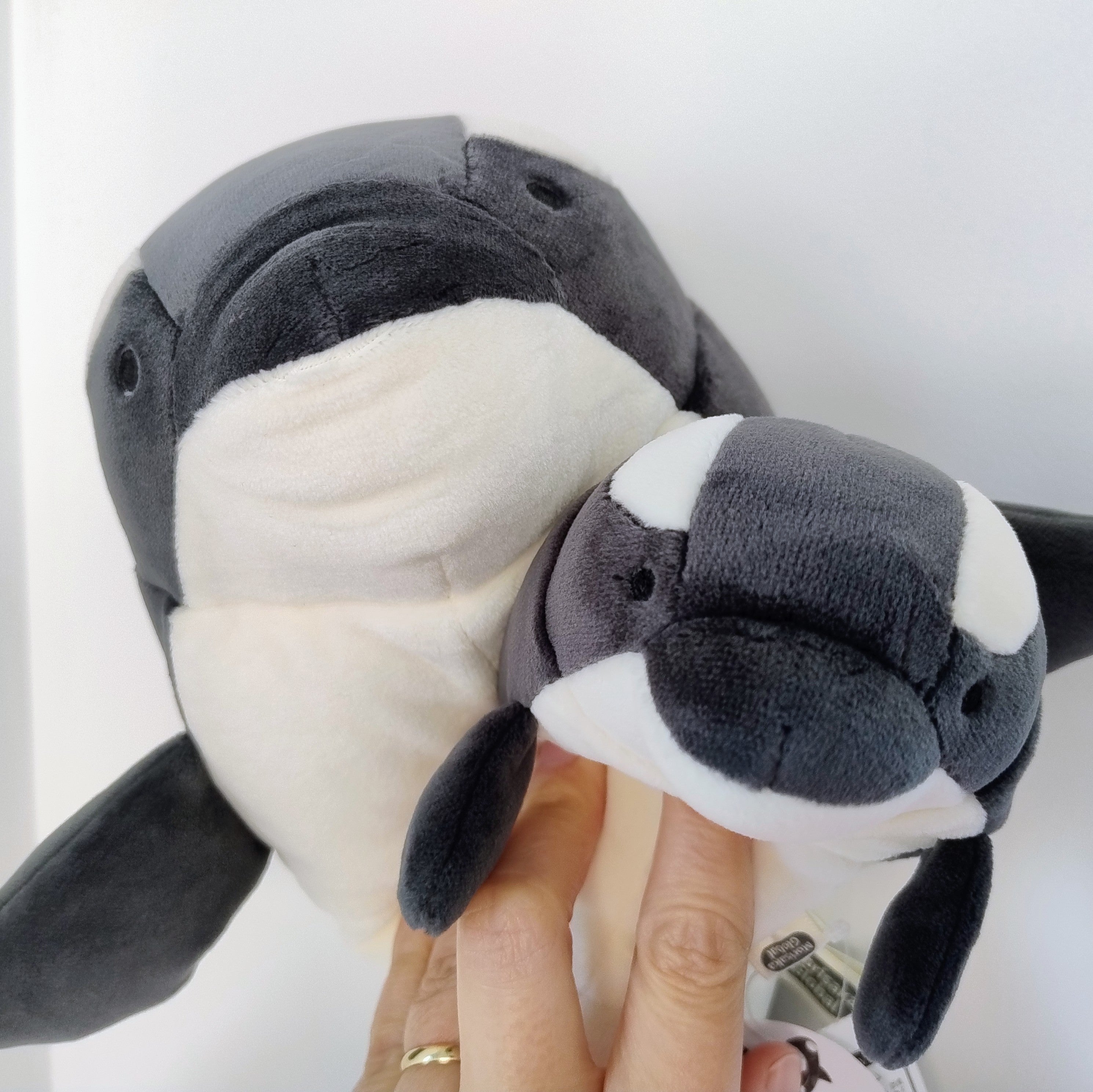 Medium Mochi Orca (29 cm) · Disco Waffle
