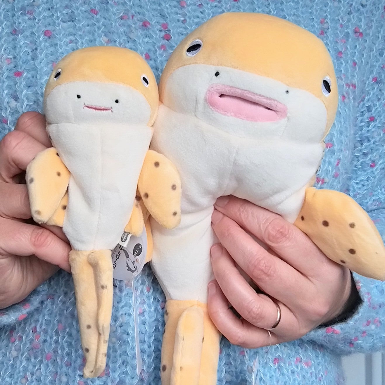 Medium Mochi Zebra Shark (30 cm) · Disco Waffle