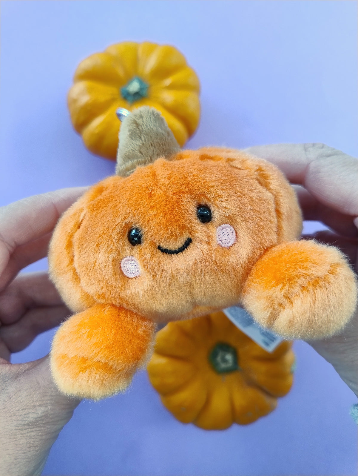 Paisley the Pumpkin Palm Pal Clip
