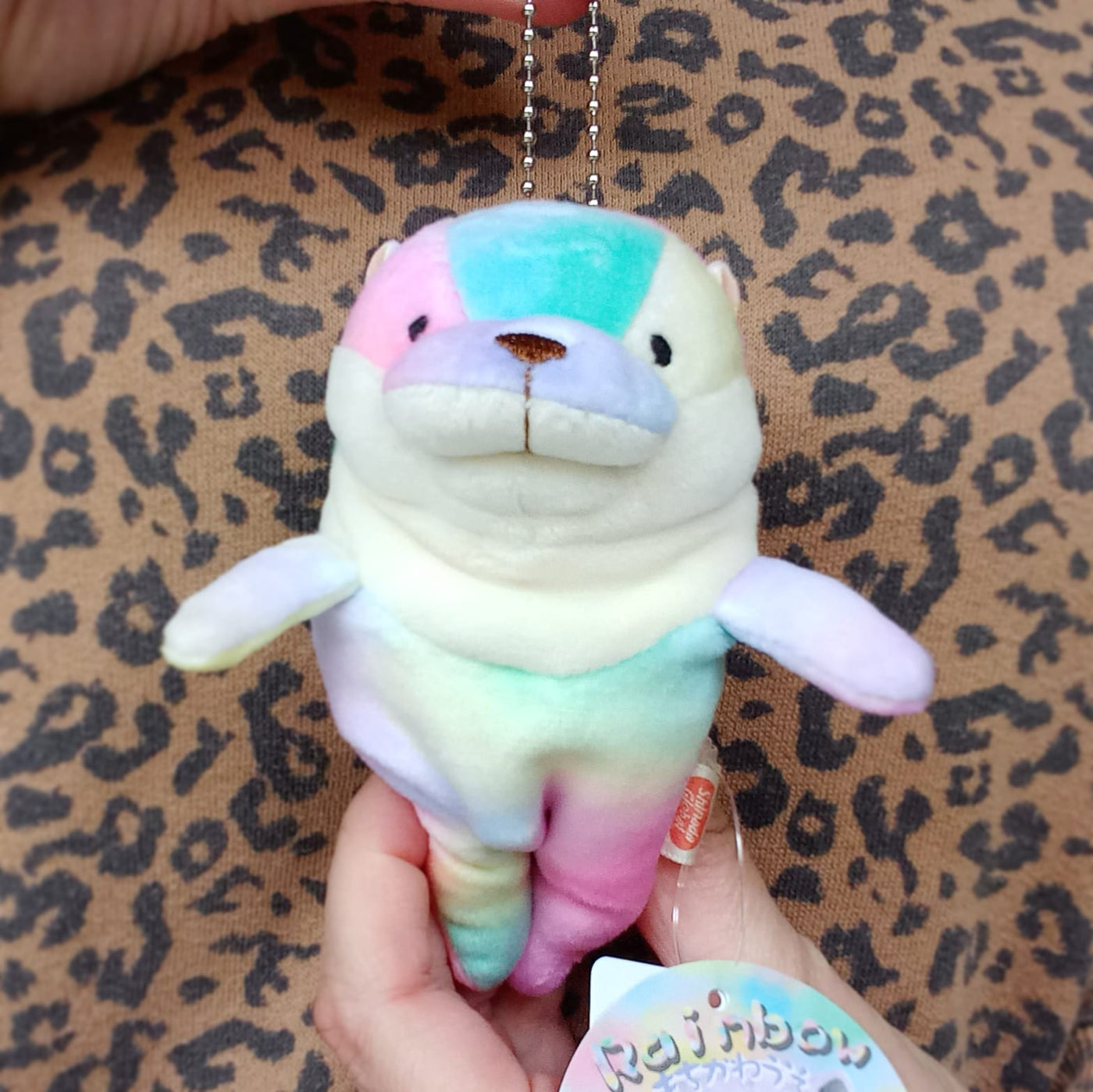 Mini Rainbow Mochi Otter (13 cm)