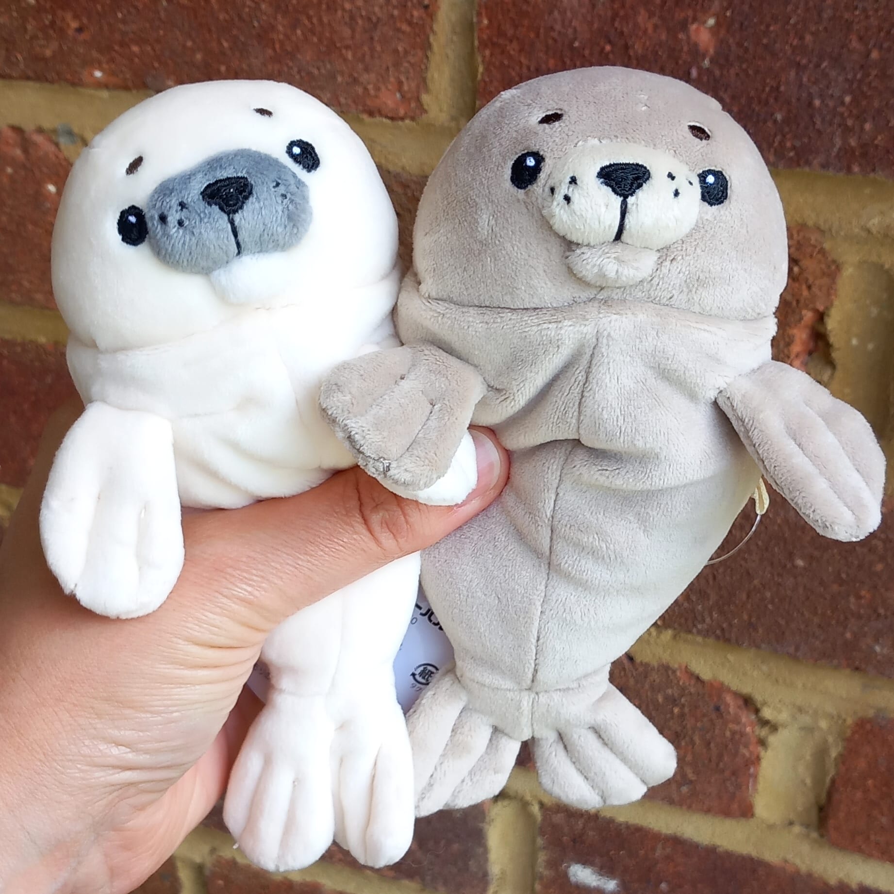 Mini Grey Mochi Seal (15 cm)