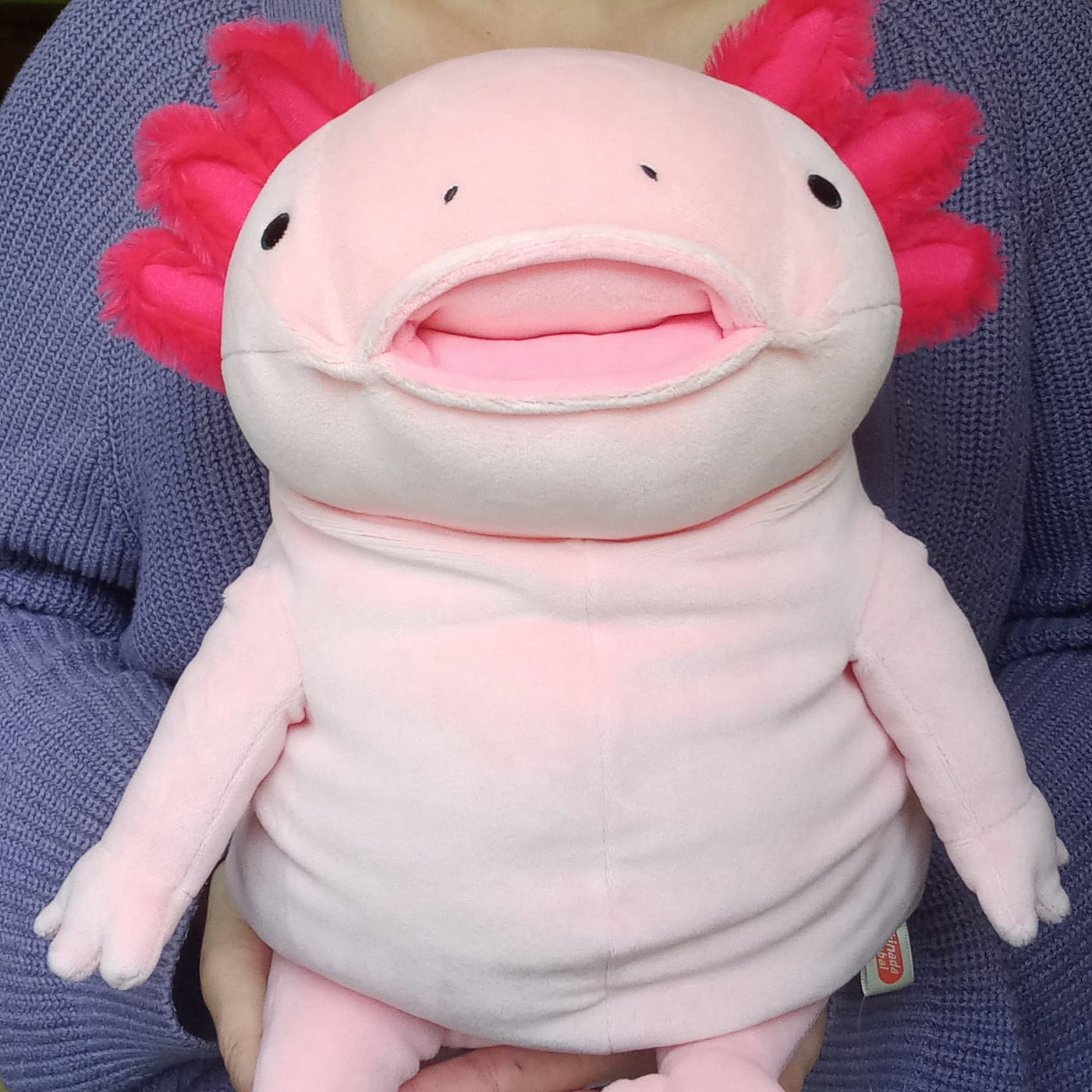 Large Pink Mochi Axolotl (38 cm)