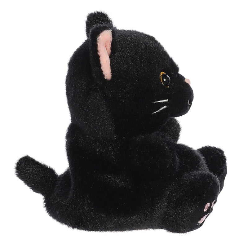 black cat caribbean palms Palm Pals
