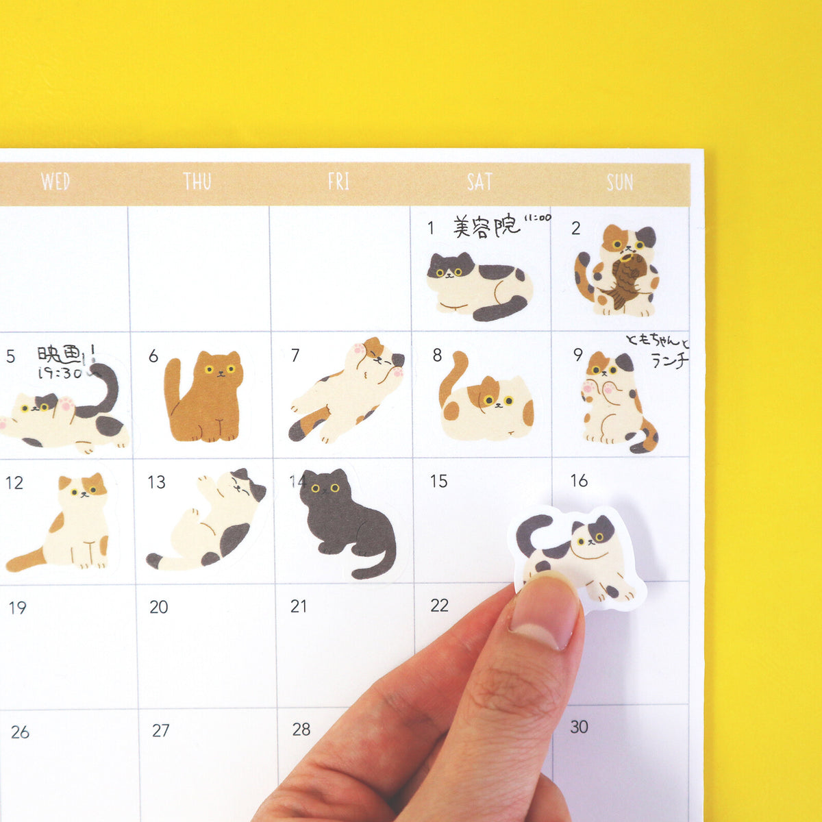 Cat Sticker Flakes