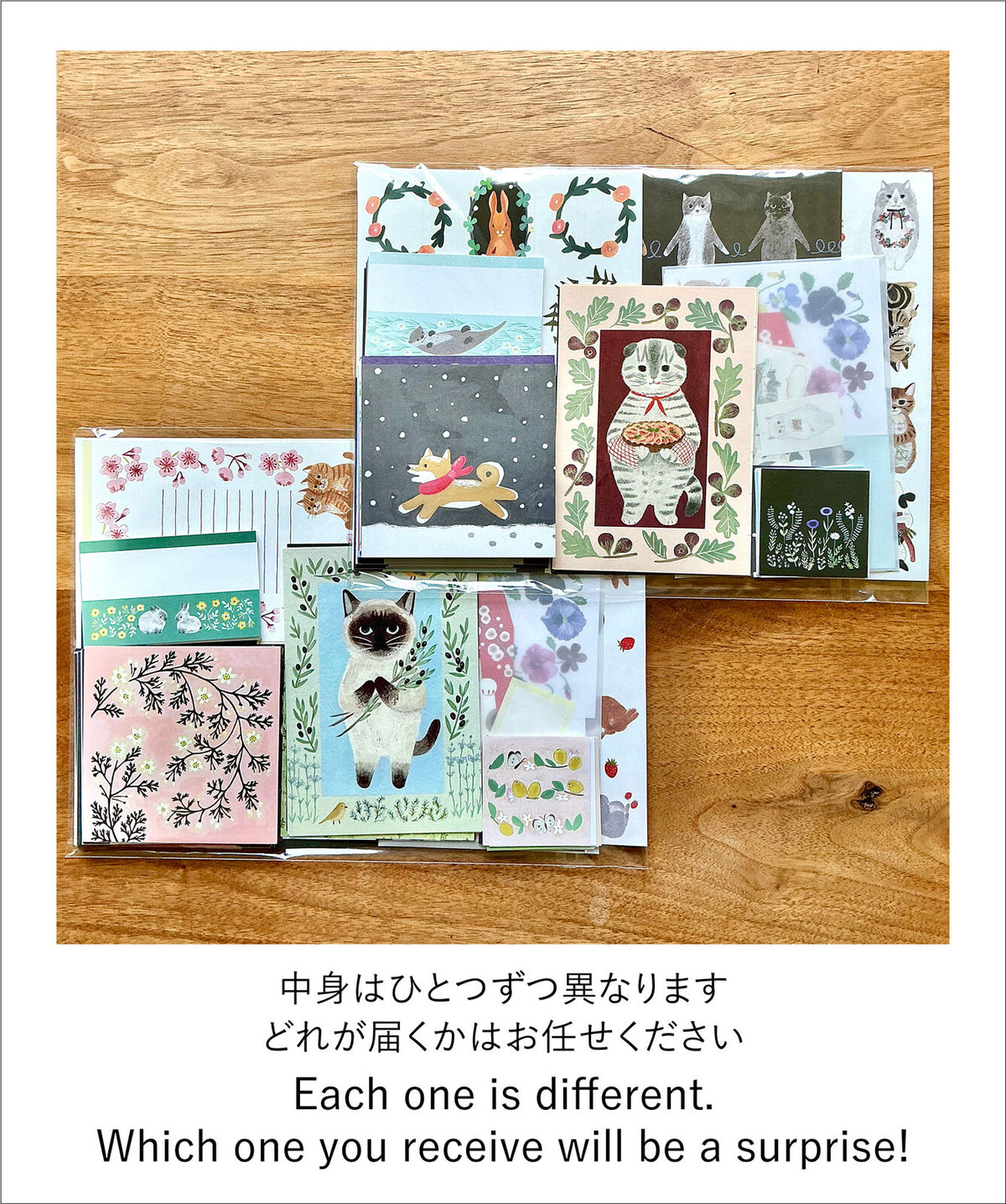 4legs Seconds Bumper Paper Pack
