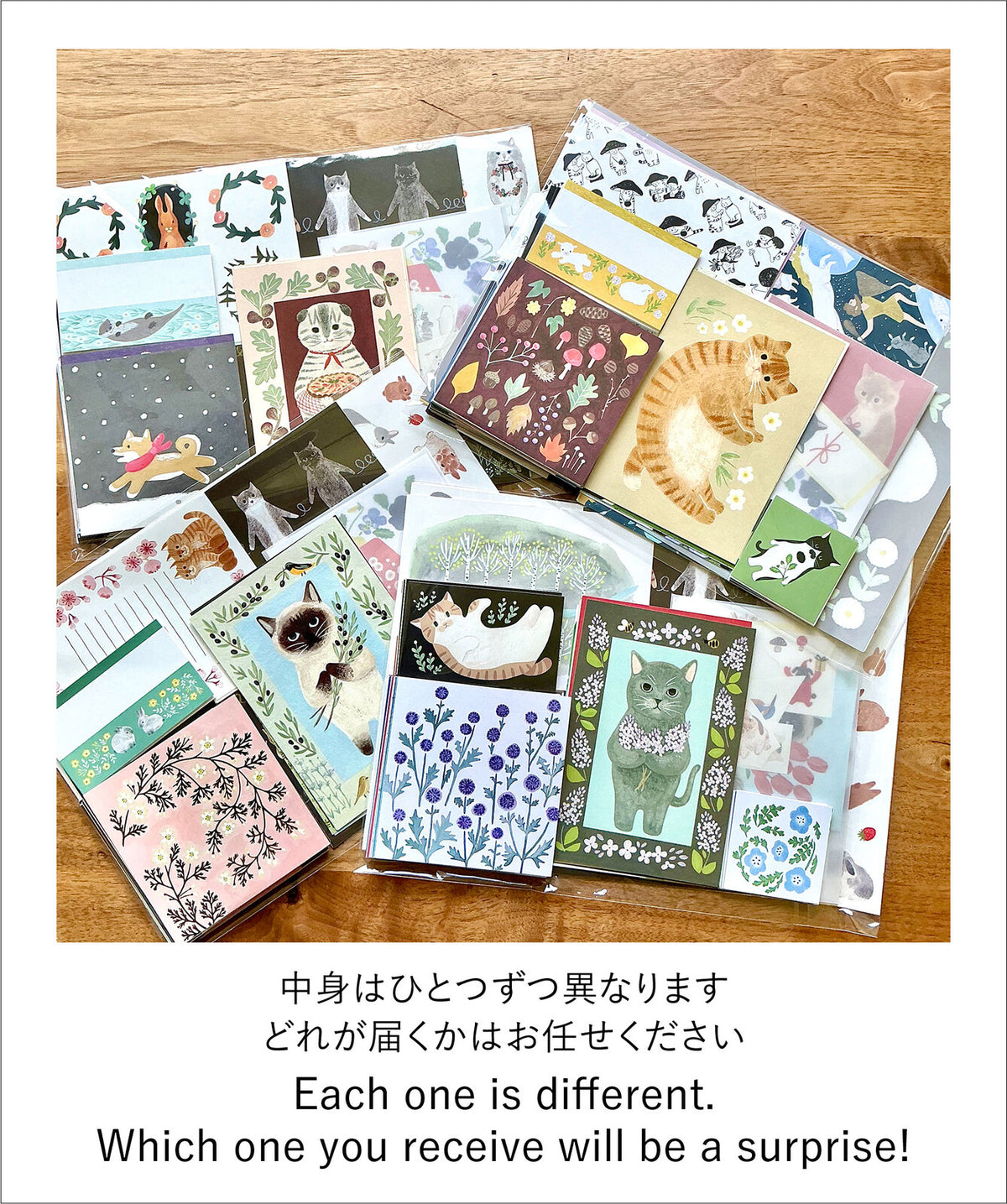 4legs Seconds Bumper Paper Pack