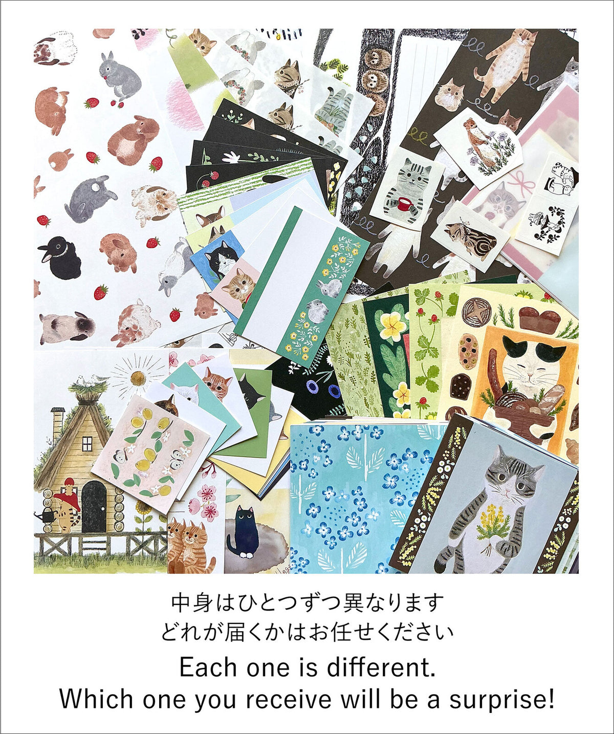4legs Seconds Bumper Paper Pack