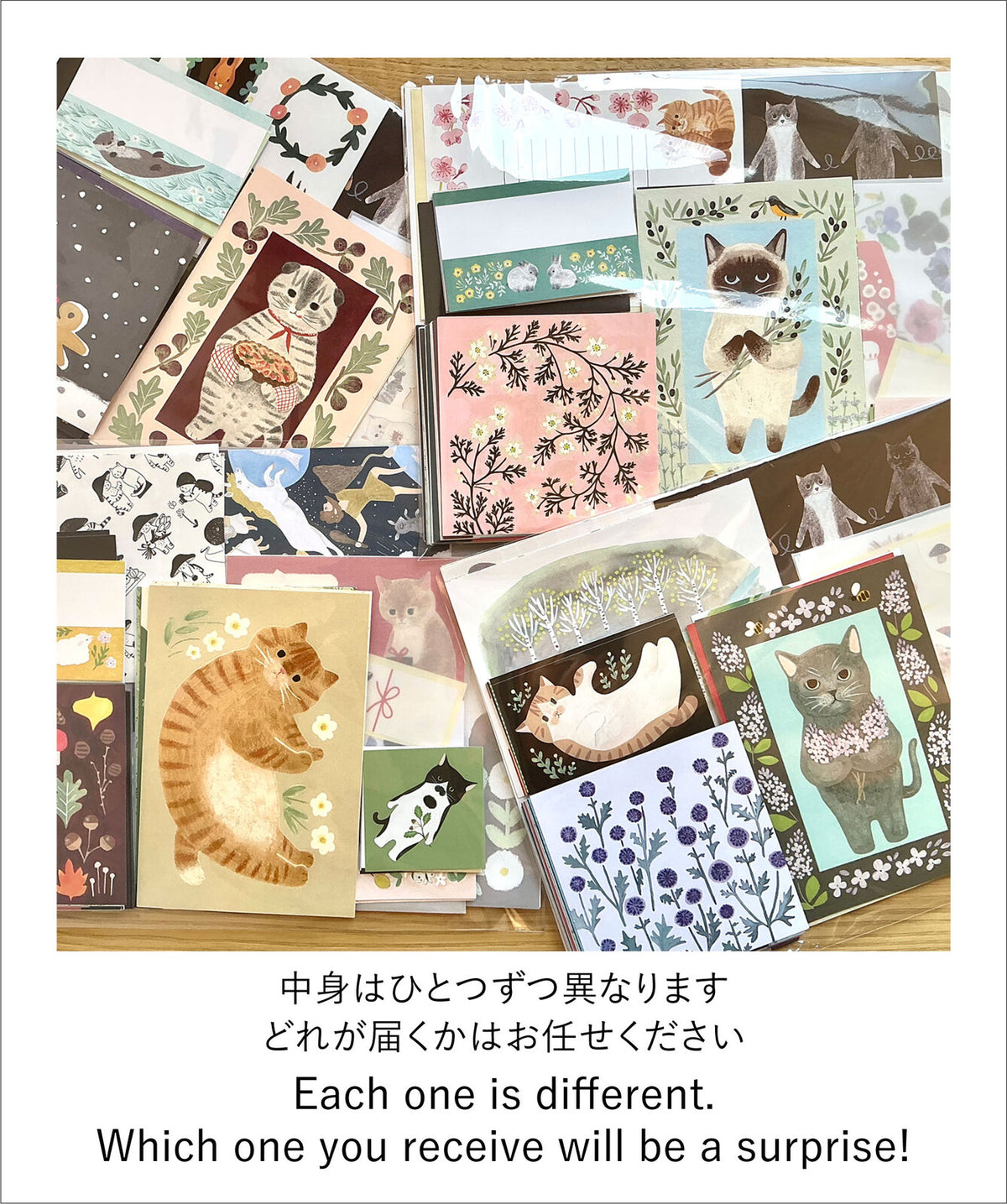 4legs Seconds Bumper Paper Pack