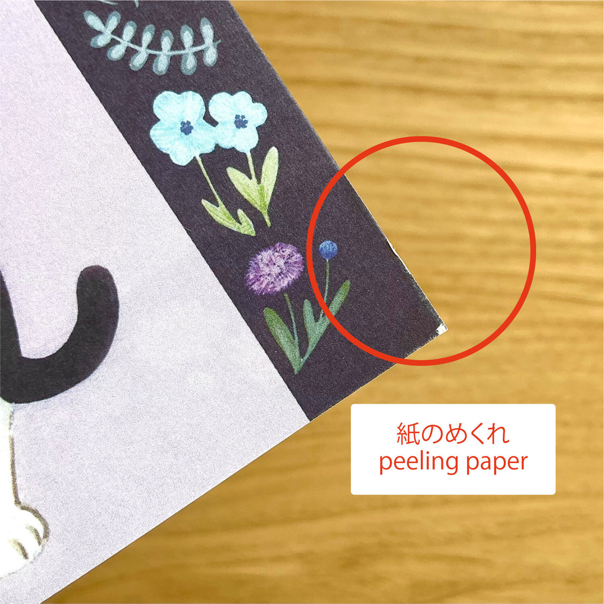 4legs Seconds Bumper Paper Pack