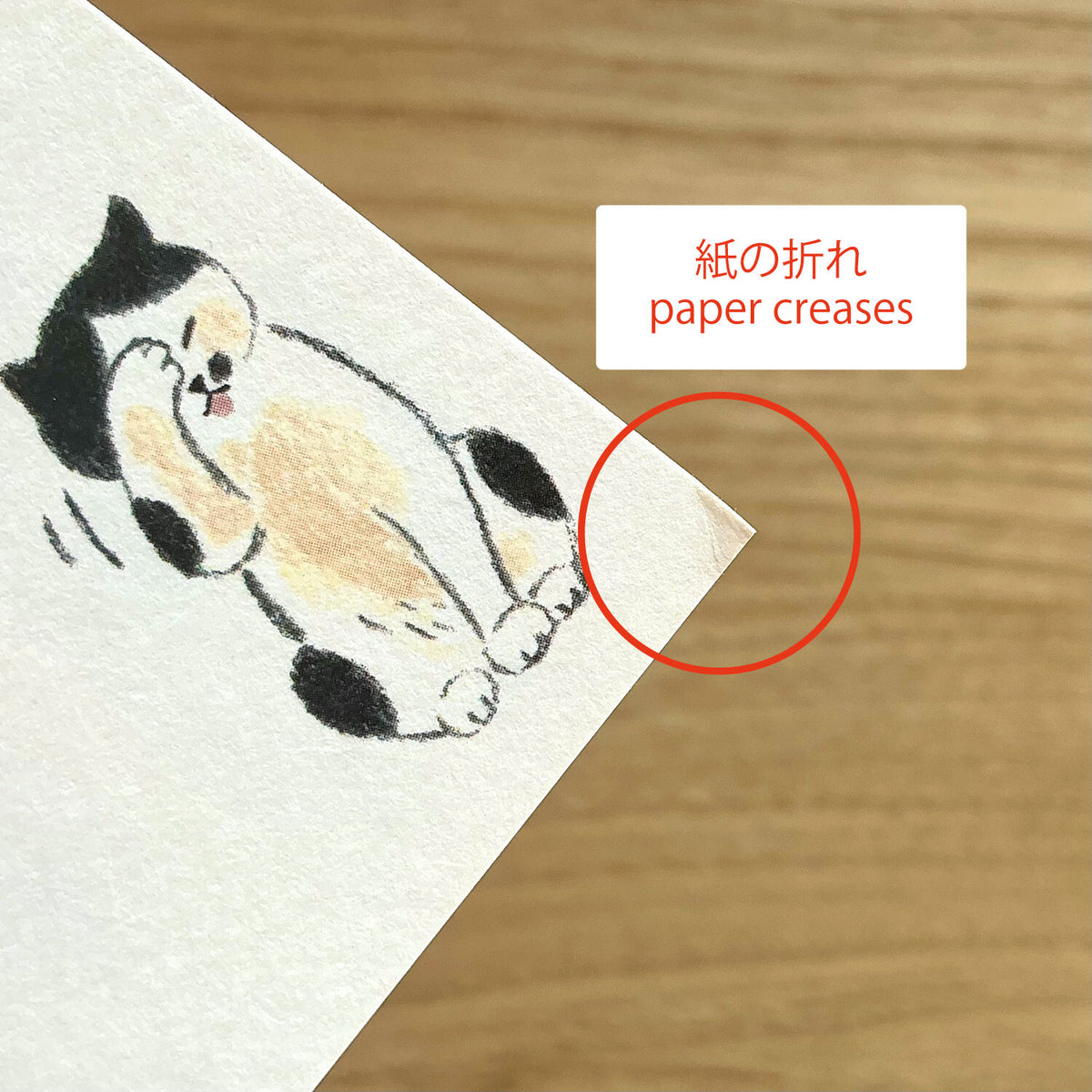 4legs Seconds Bumper Paper Pack