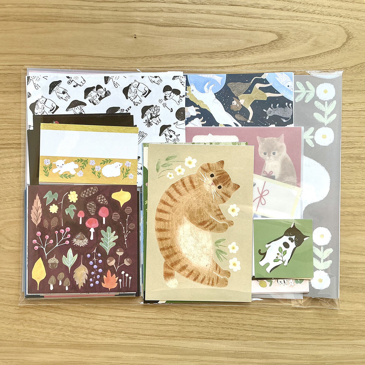 4legs Seconds Bumper Paper Pack