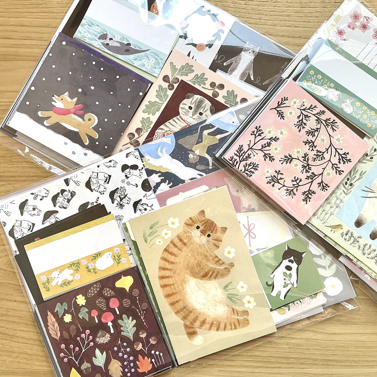4legs Seconds Bumper Paper Pack