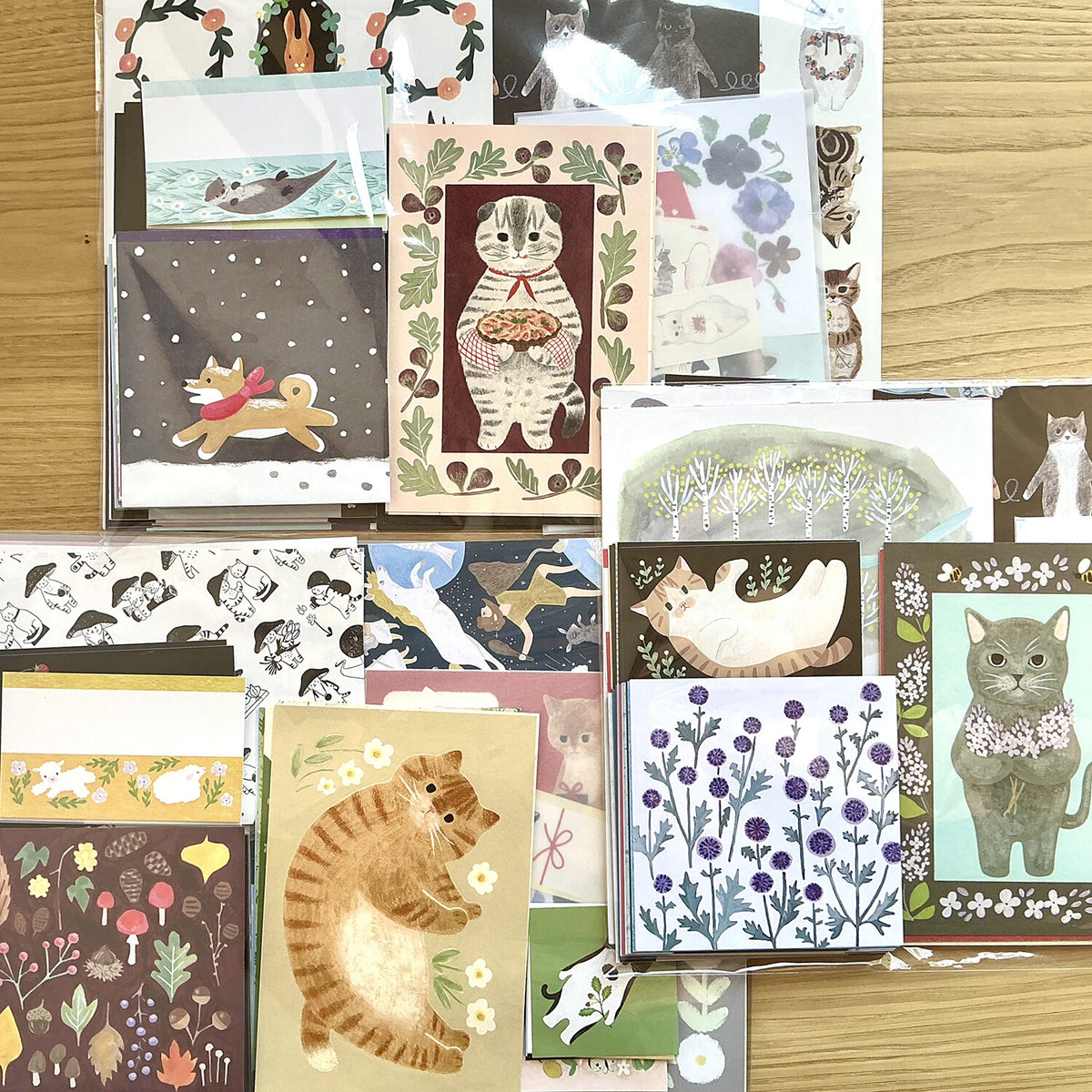 4legs Seconds Bumper Paper Pack