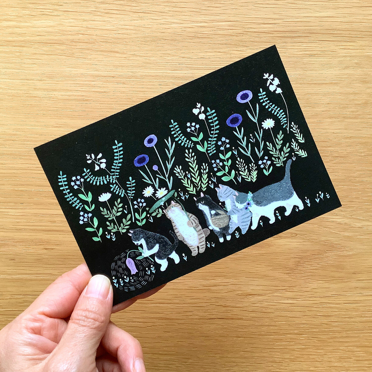 The Land of Cats Postcard