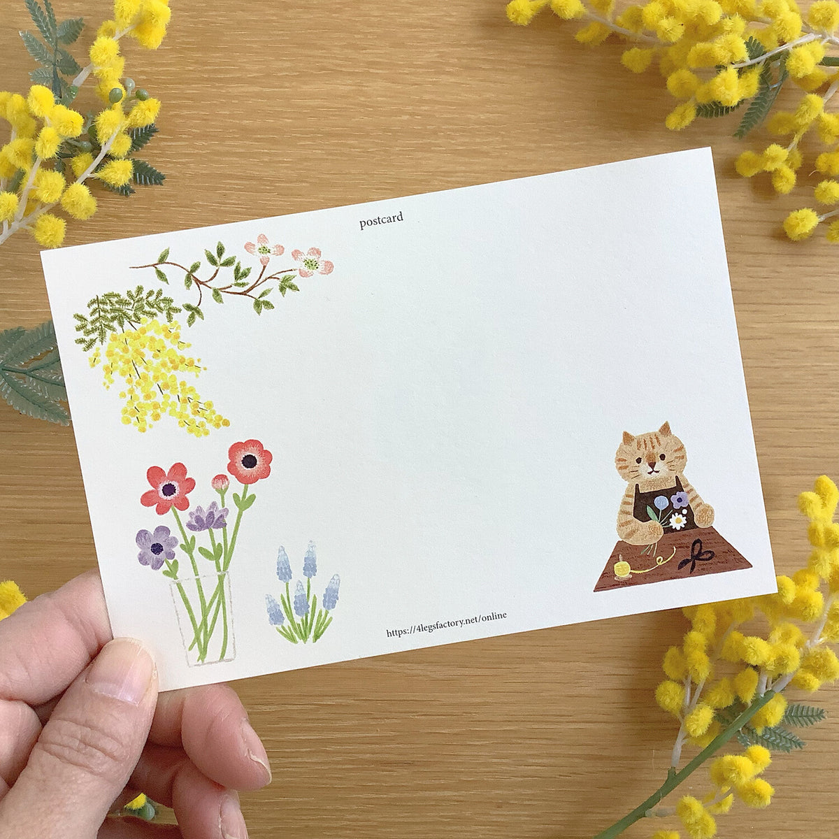 Florist Cat Postcard