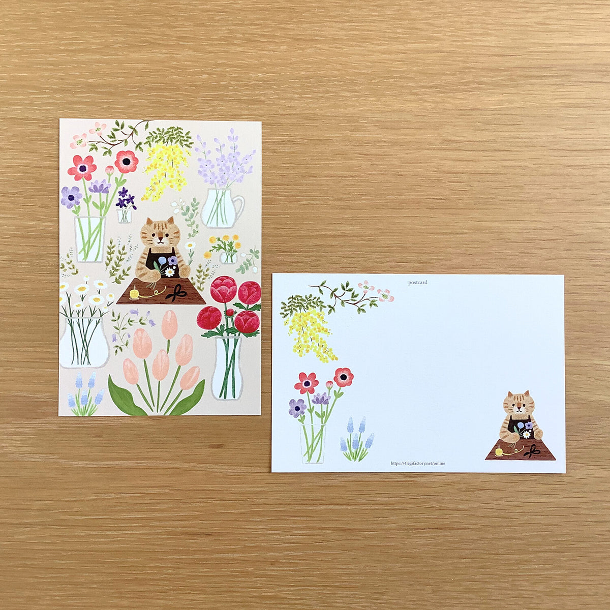 Florist Cat Postcard