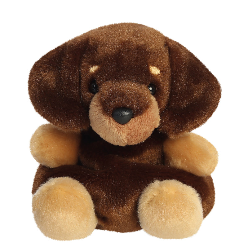 Houdini the Dachshund Palm Pal