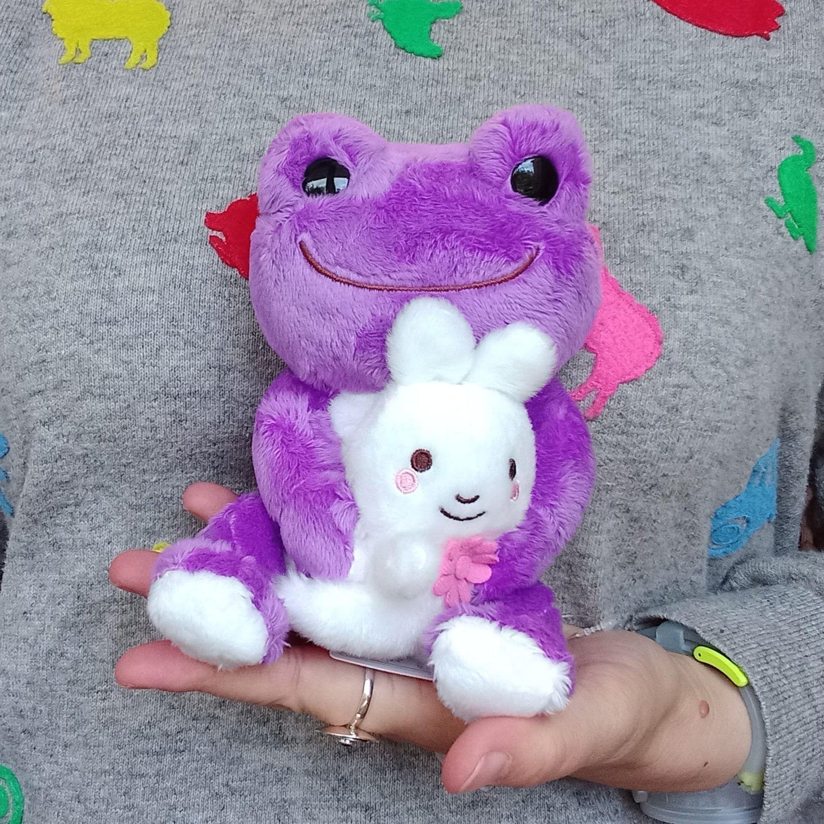 Purple Pickles the Frog with bunny friend (20cm)