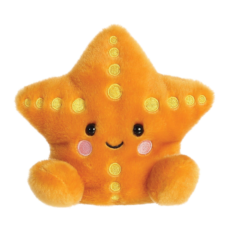 Treasure the Starfish Palm Pal