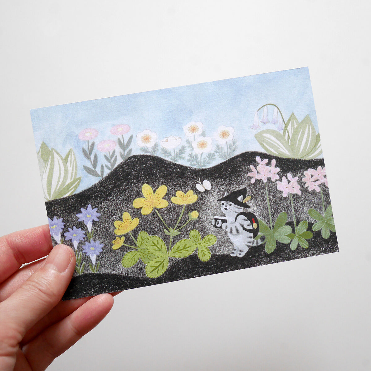 Explorer Cat Postcard