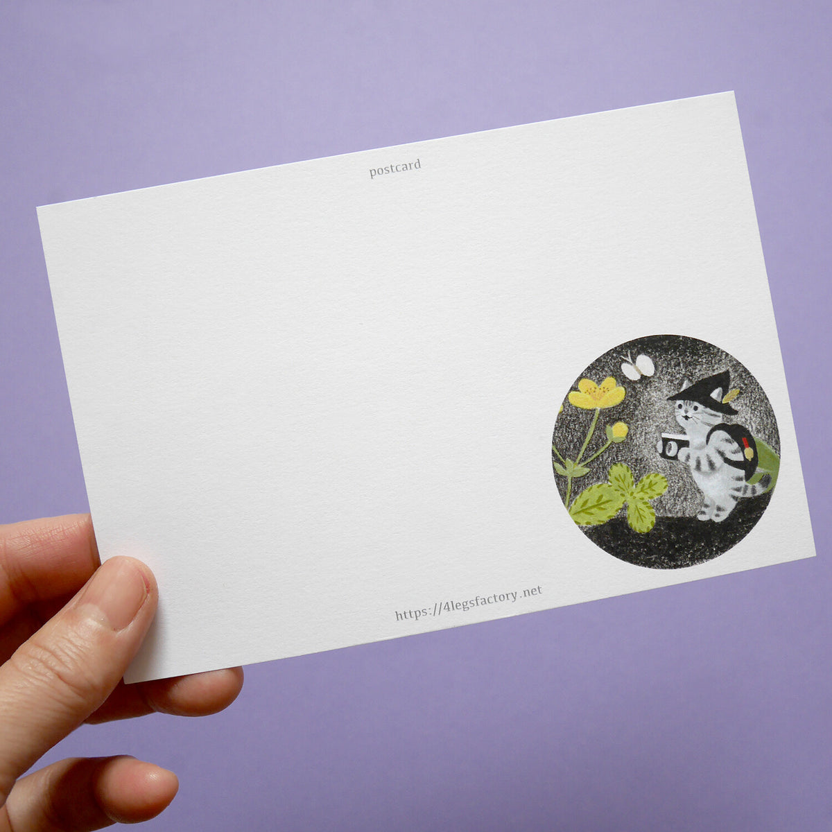 Explorer Cat Postcard