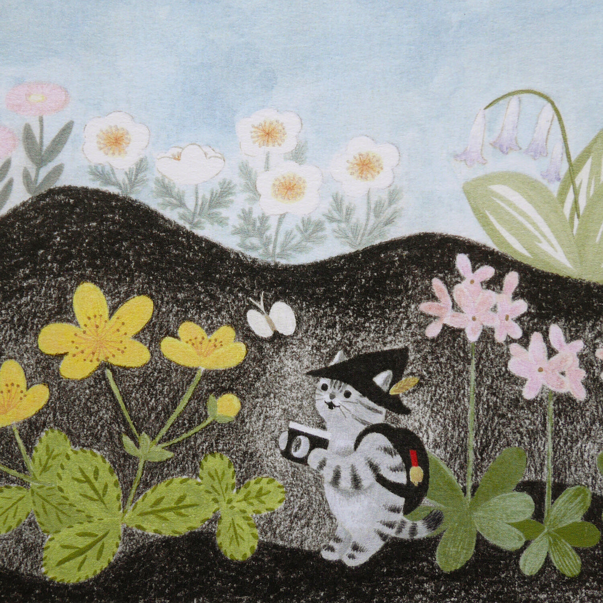 Explorer Cat Postcard