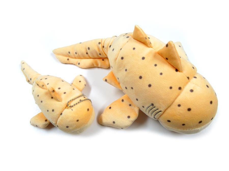 Medium Mochi Zebra Shark (30 cm)