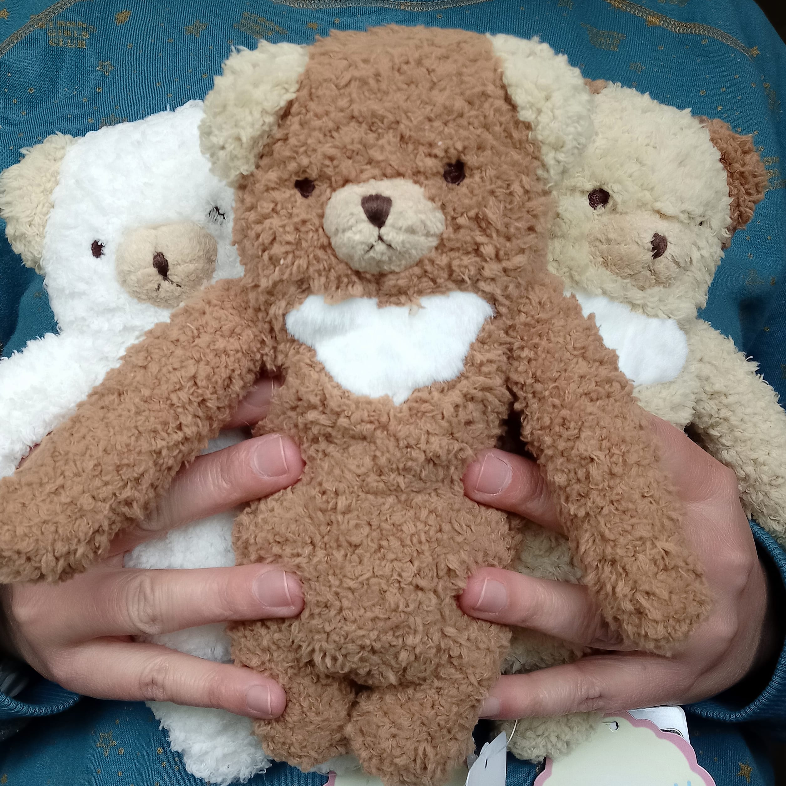 Fumofumo San Fluffy Dark Brown Bear (21cm)