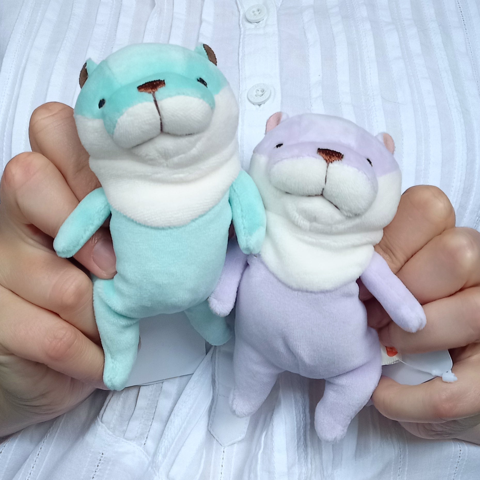 Mini Mint Mochi Otter (13 cm)