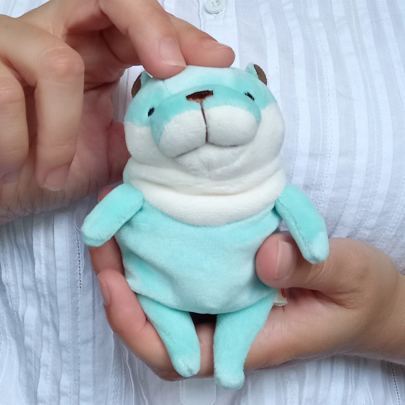 Mini Mint Mochi Otter (13 cm)