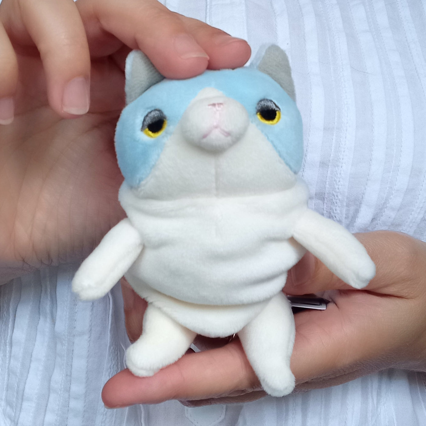 Mini Blue Mochi Cat (13 cm)